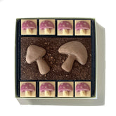 Chocolate Toadstools
